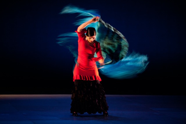 03-GaryDraluck-Flamenco MG 9796