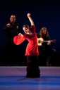 05-GaryDraluck-Flamenco MG 9824