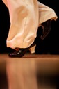 14-GaryDraluck-Flamenco MG 0225