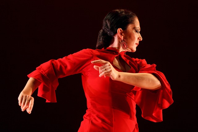 45-GaryDraluck-Flamenco MG 1215