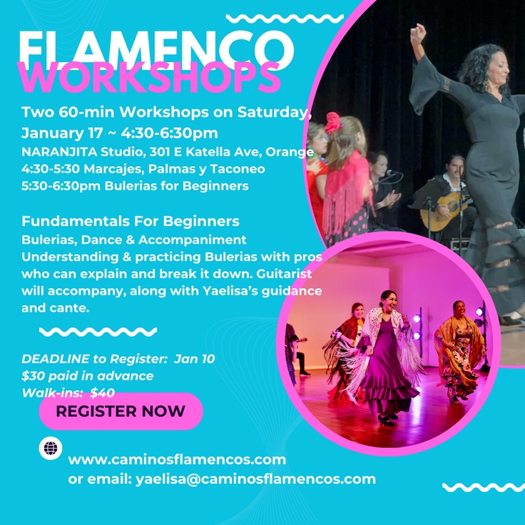 Jan 17 Beginner Workshop Naranjita