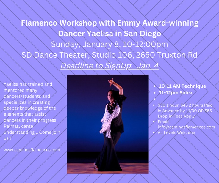 Jan 8 San Diego Workshop(Facebook Post) (1)