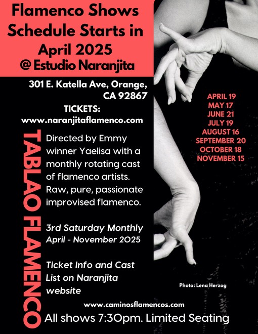 TABLAO FLAMENCO 2025 POSTER
