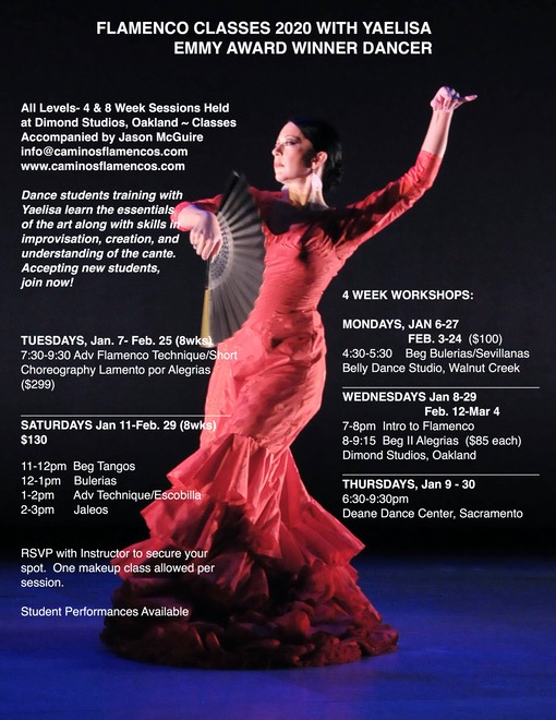 Winter Flamenco Classes 2020