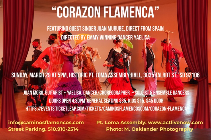 CORAZON FLAMENCA STUDENT SHOW 32926 (5)