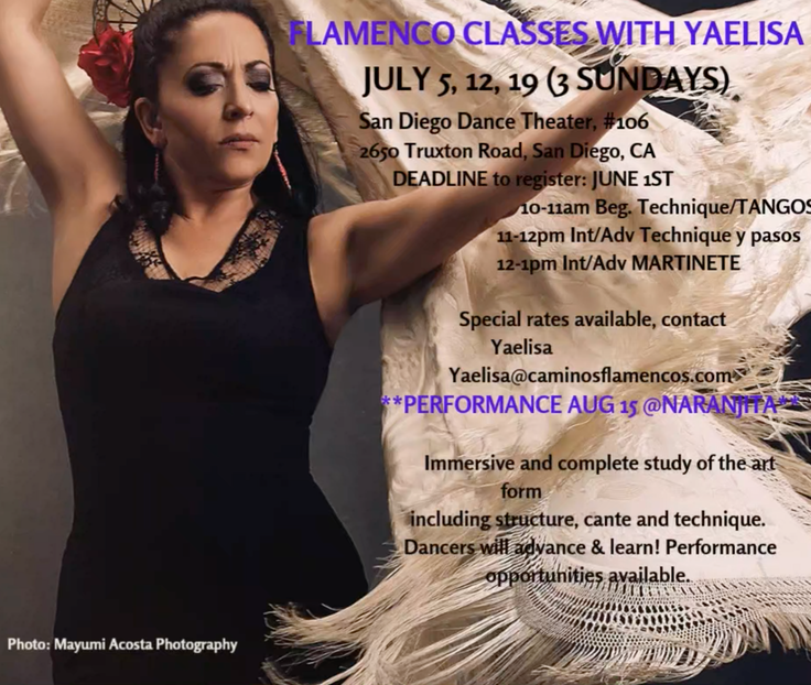 San Diego Workshops in San Diego Flyer (2)
